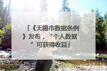《无锡市数据条例》发布，“个人数据”可获得收益