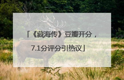 《藏海传》豆瓣开分，7.1分评分引热议