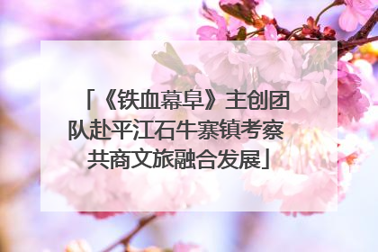 《铁血幕阜》主创团队赴平江石牛寨镇考察 共商文旅融合发展