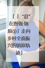 「“县”在图强·镇原③」走向乡村全面振兴的镇原轨迹