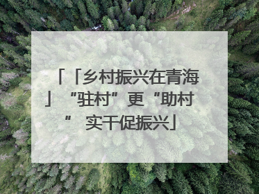 「乡村振兴在青海」“驻村”更“助村” 实干促振兴