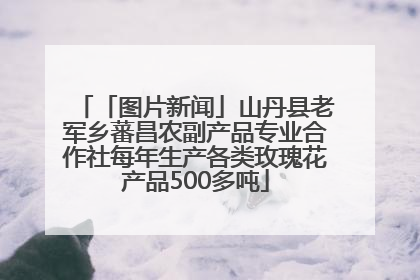 「图片新闻」山丹县老军乡蕃昌农副产品专业合作社每年生产各类玫瑰花产品500多吨