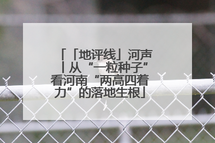 「地评线」河声丨从“一粒种子”看河南“两高四着力”的落地生根