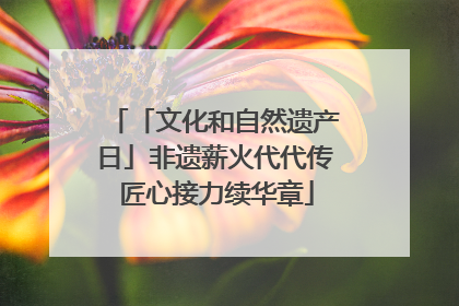 「文化和自然遗产日」非遗薪火代代传 匠心接力续华章