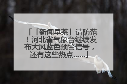 「新闻早茶」请防范！河北省气象台继续发布大风蓝色预警信号，还有这些热点……