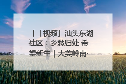 「视频」汕头东湖社区：乡愁归处 希望新生｜大美岭南·百村焕新记