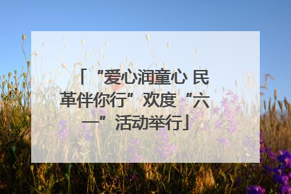 “爱心润童心 民革伴你行”欢度“六一”活动举行