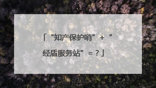 “知产保护哨”+“经盾服务站”=？