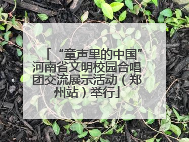 “童声里的中国”河南省文明校园合唱团交流展示活动（郑州站）举行