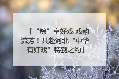 “粽”享好戏 戏韵流芳！共赴河北“中华有好戏”特别之约