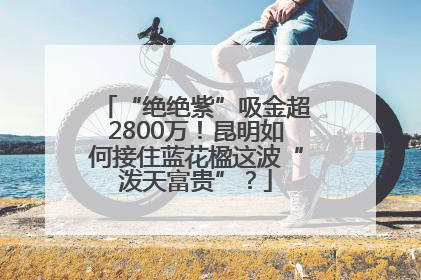 “绝绝紫”吸金超2800万！昆明如何接住蓝花楹这波“泼天富贵”？