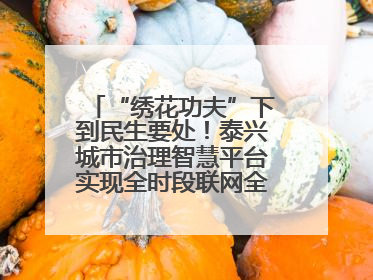 “绣花功夫”下到民生要处！泰兴城市治理智慧平台实现全时段联网全要素细治