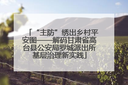 “主防”绣出乡村平安图——解码甘肃省高台县公安局罗城派出所基层治理新实践