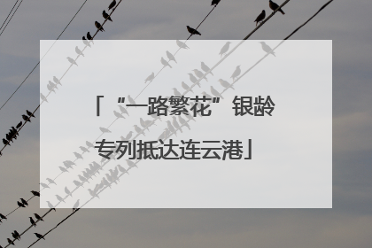 “一路繁花”银龄专列抵达连云港