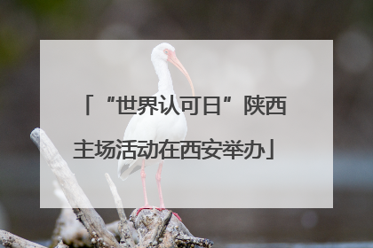 “世界认可日”陕西主场活动在西安举办
