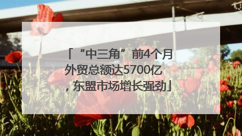 “中三角”前4个月外贸总额达5700亿，东盟市场增长强劲