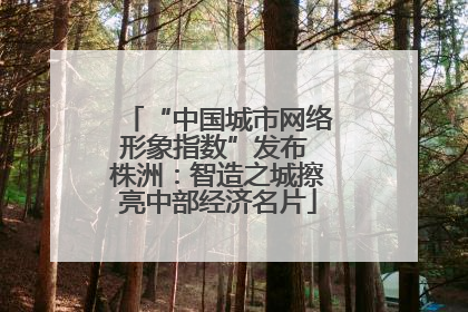 “中国城市网络形象指数”发布 株洲：智造之城擦亮中部经济名片