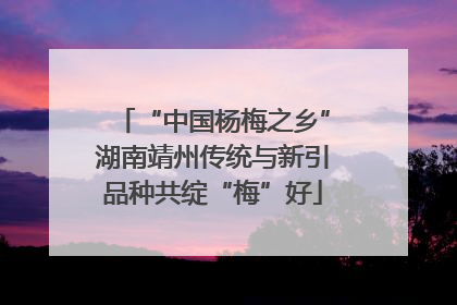 “中国杨梅之乡”湖南靖州传统与新引品种共绽“梅”好