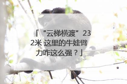 “云梯横渡”232米 这里的牛娃臂力咋这么强？