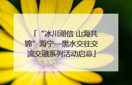 “冰川潮信 山海共锦”海宁—黑水交往交流交融系列活动启幕