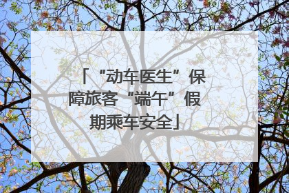 “动车医生”保障旅客“端午”假期乘车安全