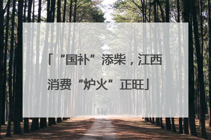 “国补”添柴，江西消费“炉火”正旺