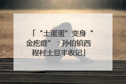 “土蛋蛋”变身“金疙瘩”：孙伯镇西程村土豆丰收记