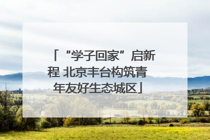 “学子回家”启新程 北京丰台构筑青年友好生态城区