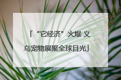 “它经济”火爆 义乌宠物展聚全球目光