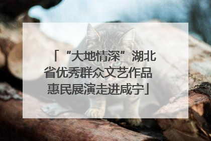 “大地情深”湖北省优秀群众文艺作品惠民展演走进咸宁