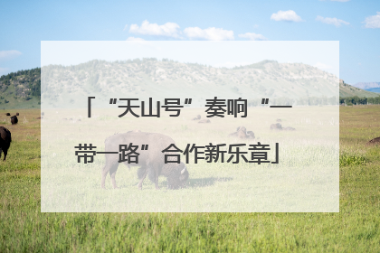 “天山号”奏响“一带一路”合作新乐章