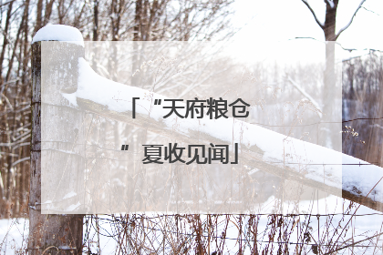 “天府粮仓”夏收见闻