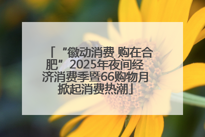 “徽动消费 购在合肥”2025年夜间经济消费季暨66购物月掀起消费热潮