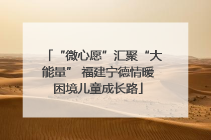 “微心愿”汇聚“大能量” 福建宁德情暖困境儿童成长路