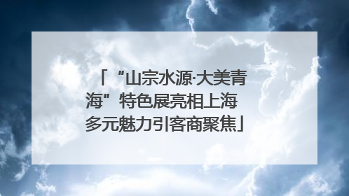 “山宗水源·大美青海”特色展亮相上海 多元魅力引客商聚焦