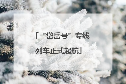 “岱岳号”专线列车正式起航