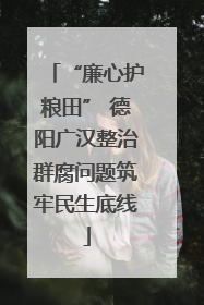 “廉心护粮田” 德阳广汉整治群腐问题筑牢民生底线