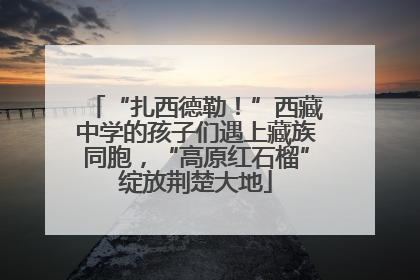 “扎西德勒！”西藏中学的孩子们遇上藏族同胞，“高原红石榴”绽放荆楚大地