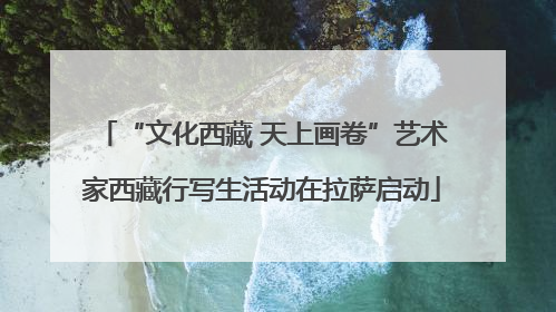 “文化西藏 天上画卷”艺术家西藏行写生活动在拉萨启动
