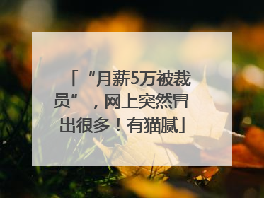 “月薪5万被裁员”，网上突然冒出很多！有猫腻