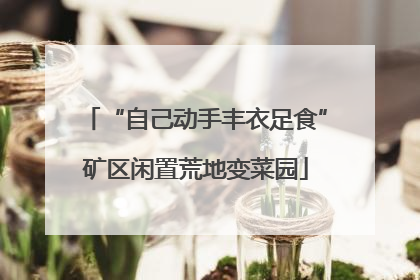 “自己动手丰衣足食”矿区闲置荒地变菜园