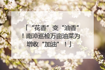“花香”变“油香”！南漳巡检万亩油菜为增收“加油”！