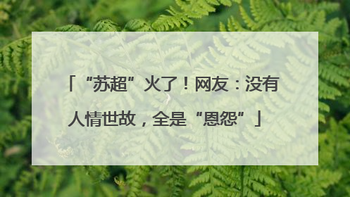 “苏超”火了！网友：没有人情世故，全是“恩怨”