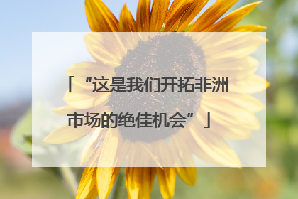 “这是我们开拓非洲市场的绝佳机会”