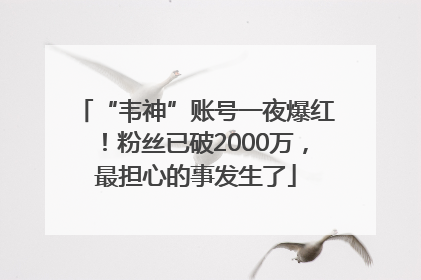 “韦神”账号一夜爆红！粉丝已破2000万，最担心的事发生了