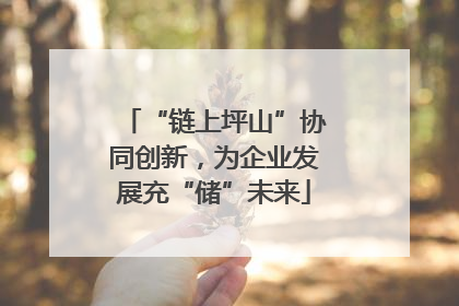 “链上坪山”协同创新，为企业发展充“储”未来