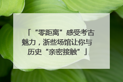 “零距离”感受考古魅力，浙些场馆让你与历史“亲密接触”