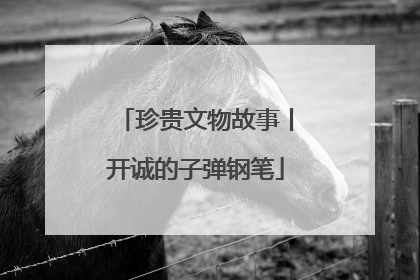珍贵文物故事丨开诚的子弹钢笔