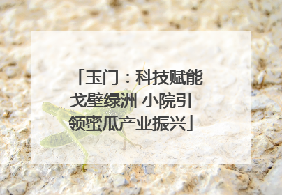 玉门：科技赋能戈壁绿洲 小院引领蜜瓜产业振兴