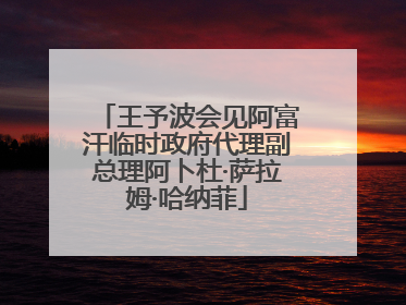 王予波会见阿富汗临时政府代理副总理阿卜杜·萨拉姆·哈纳菲